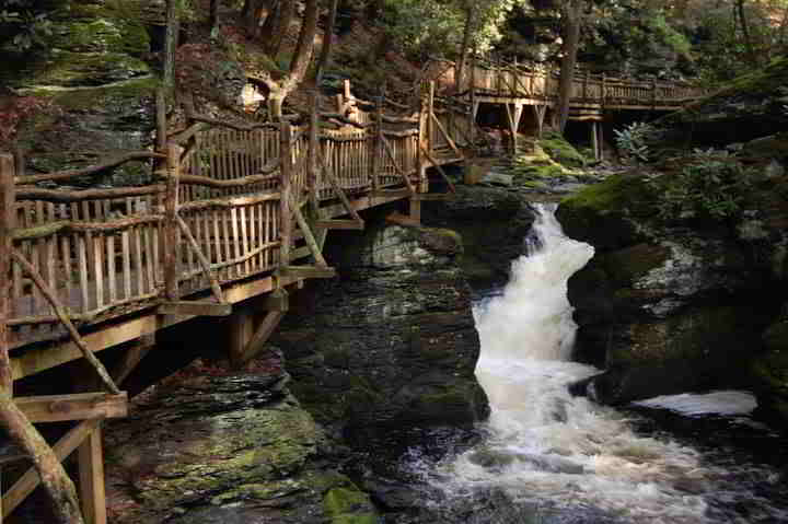 Trail At Bushkill Falls